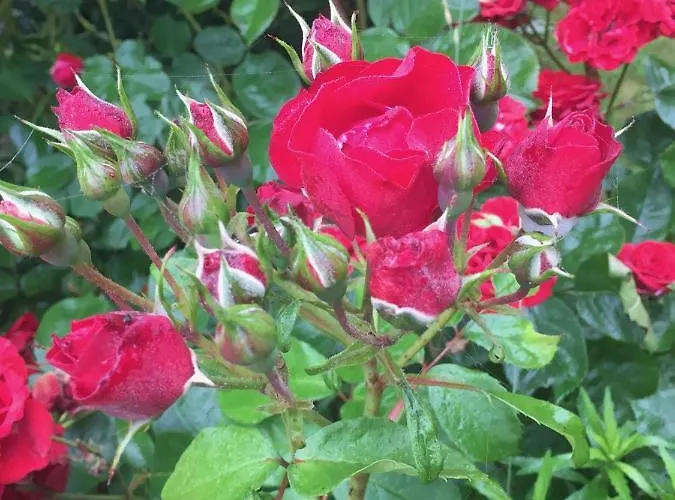 펜션 Ferme De Riou *