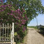 Ferme De Riou Σπίτι διακοπών