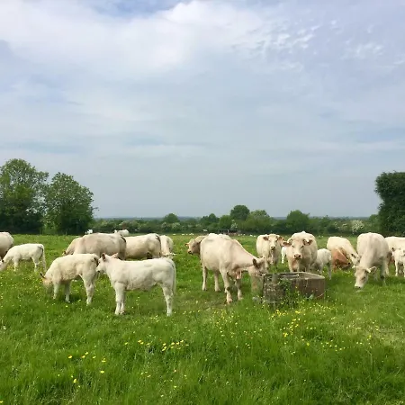 Ferme De Riou Nyaraló *