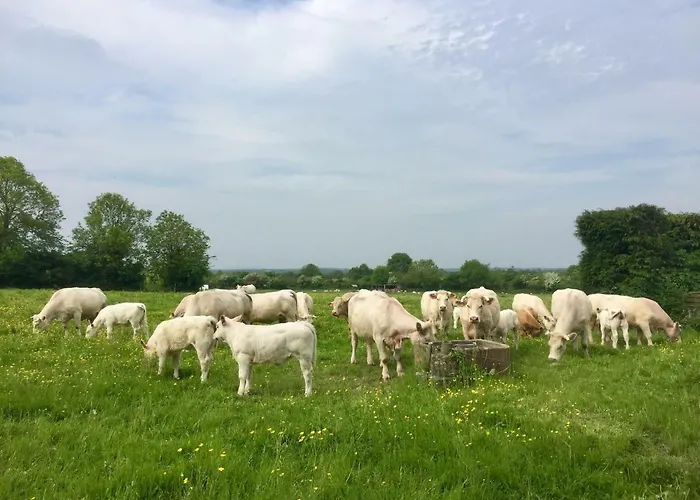 Ferme De Riou Дом отдыха *